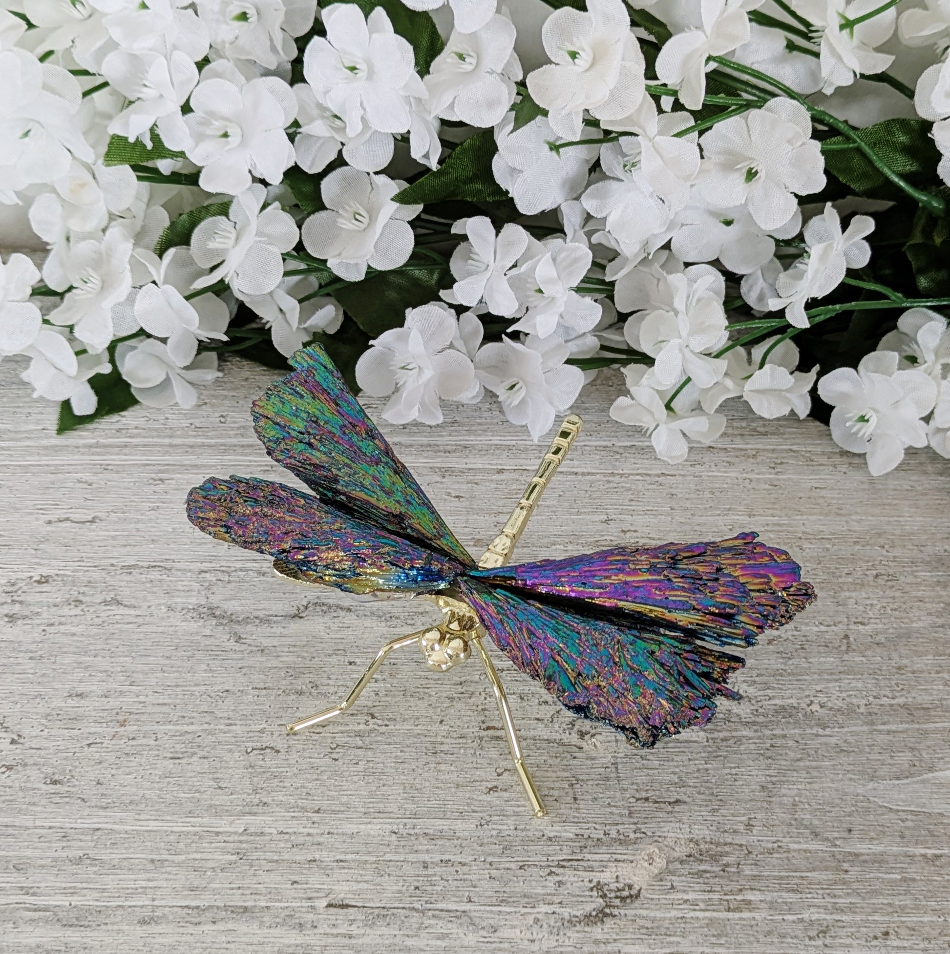 Kyanite Aura Dragonfly - Sold As Seen