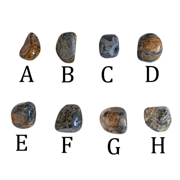 Pietersite Tumblestone - The Tempest Stone - Motivation & Happiness Rare Gemstone