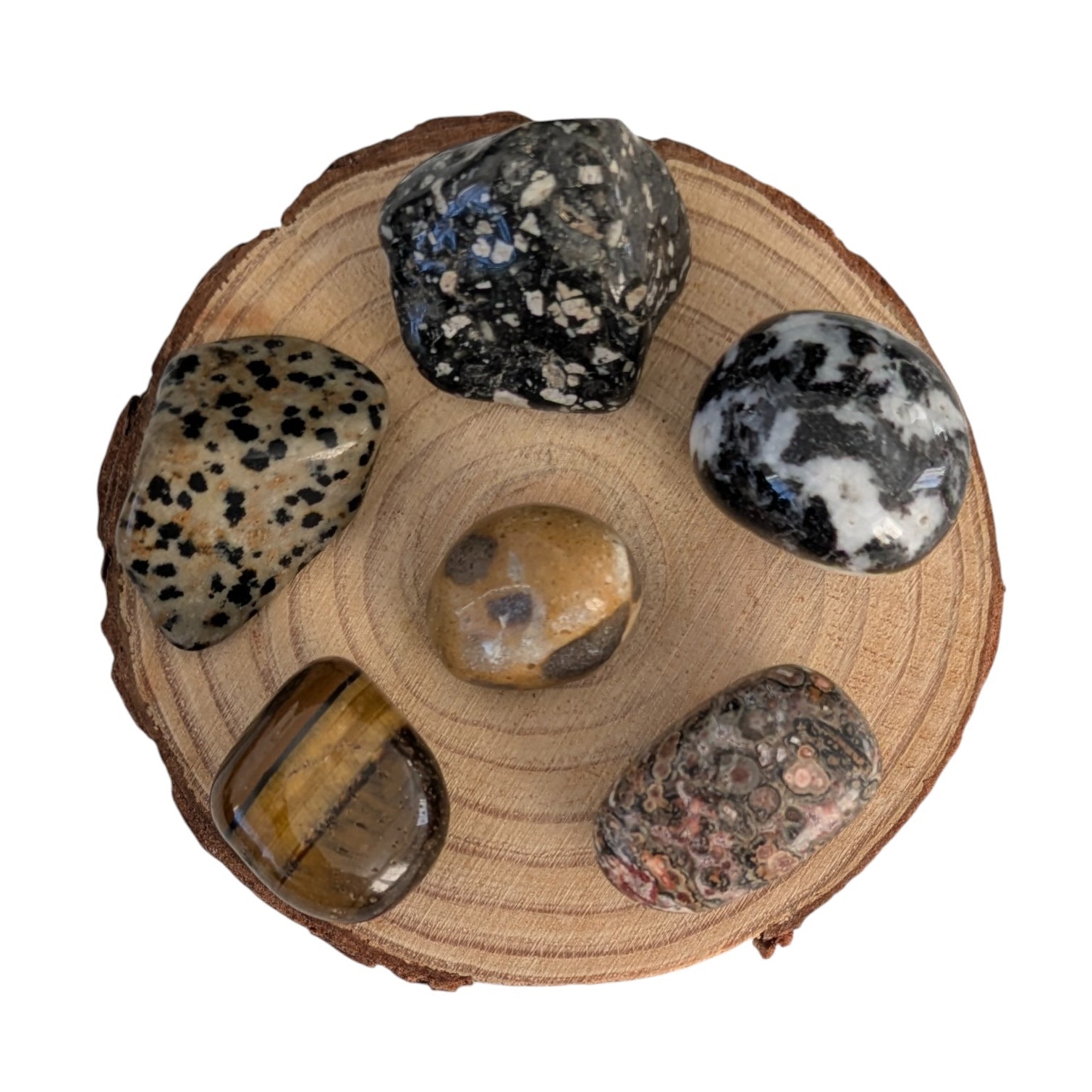 Childrens Crystal Selection Box - Animal Inspired Selection - Beginners Gemstones - Kids Crystals - Gifts for Children