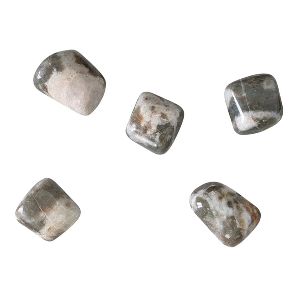 Polarity Moonstone Crystal Tumblestone UK - Rare Crystals - Healing Gemstones - Balancing Crystal - Scorpio Gemstone