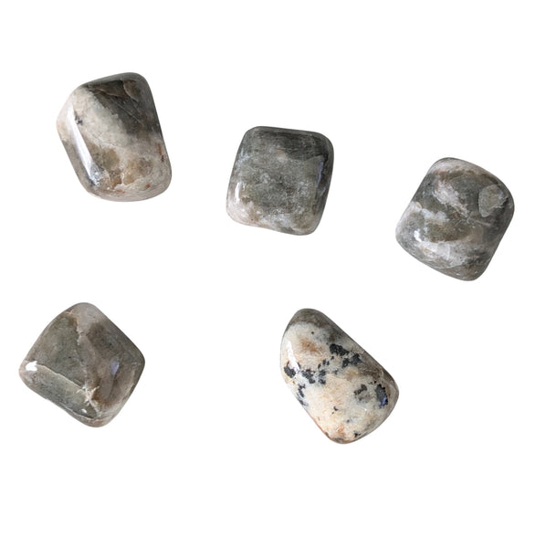 Polarity Moonstone Crystal Tumblestone UK - Rare Crystals - Healing Gemstones - Balancing Crystal - Scorpio Gemstone