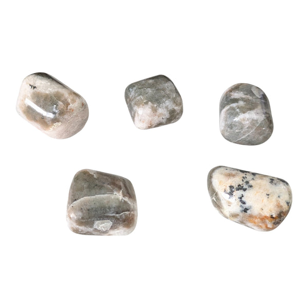 Polarity Moonstone Crystal Tumblestone UK - Rare Crystals - Healing Gemstones - Balancing Crystal - Scorpio Gemstone