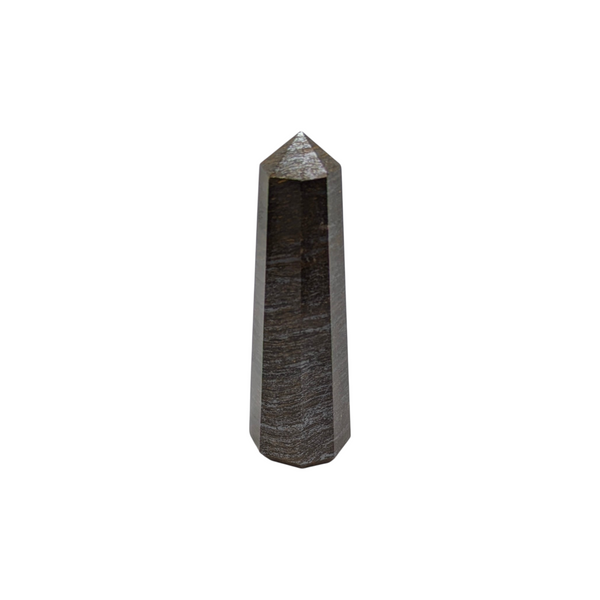 Bronzite Crystal Tower Point