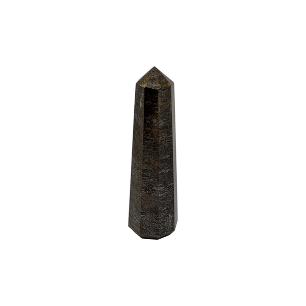 Bronzite Crystal Tower Point