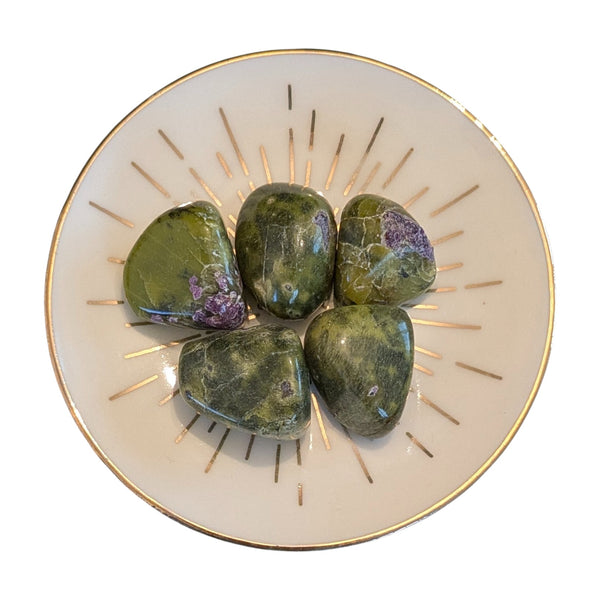 Atlantisite Crystal Tumblestone - Tasmanite - Genuine Gemstones - Crown Chakra - Inner Peace -