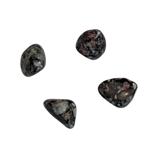 Eudialyte Crystal Tumblestone - Rare Crystal - Healing Gemstones - Stone of the Heartland - UK Crystal Shop