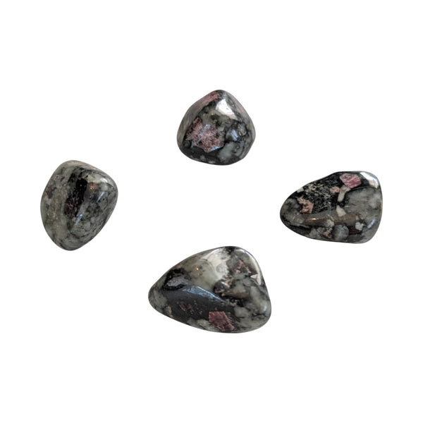 Eudialyte Crystal Tumblestone - Rare Crystal - Healing Gemstones - Stone of the Heartland - UK Crystal Shop