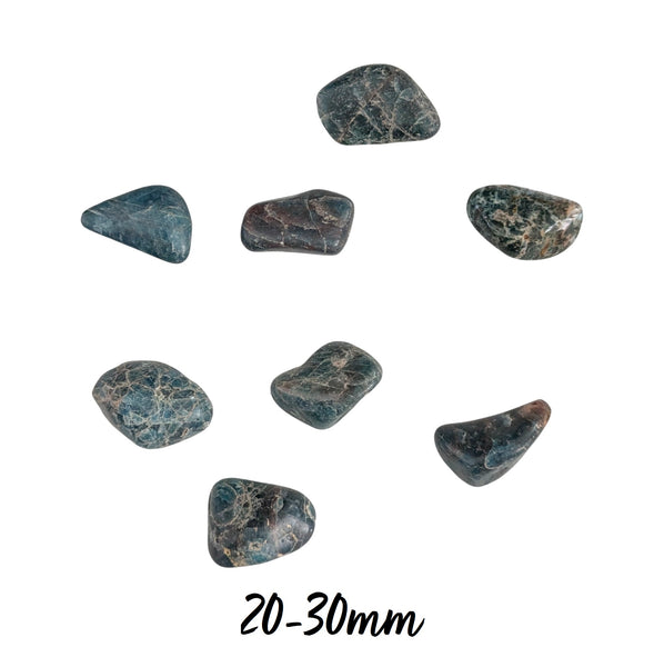 Apatite Tumblestone (B Grade)
