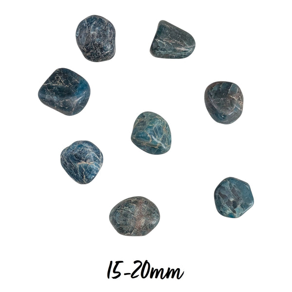 Apatite Tumblestone (B Grade)