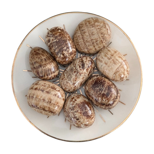 Aragonite Crystal Tumblestone - Capricorn Stone - Root Chakra - Sacral Chakra - Stone of Truth & Understanding