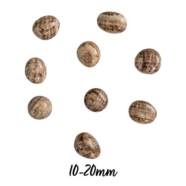 Aragonite Crystal Tumblestone - Capricorn Stone - Root Chakra - Sacral Chakra - Stone of Truth & Understanding