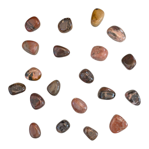 Bamboo Leaf Jasper Crystal Tumblestone - Self Empowerment Stone - Root Chakra - Leo Birthsign