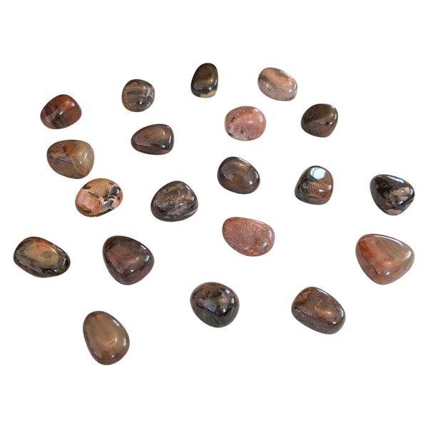 Bamboo Leaf Jasper Crystal Tumblestone - Self Empowerment Stone - Root Chakra - Leo Birthsign