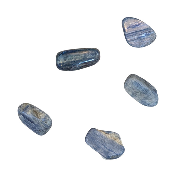 Blue Kyanite Crystal Tumblestone - High Frequency Gemstones - Throat Chakra - UK Crystal Shop - Ethically Sourced Crystals