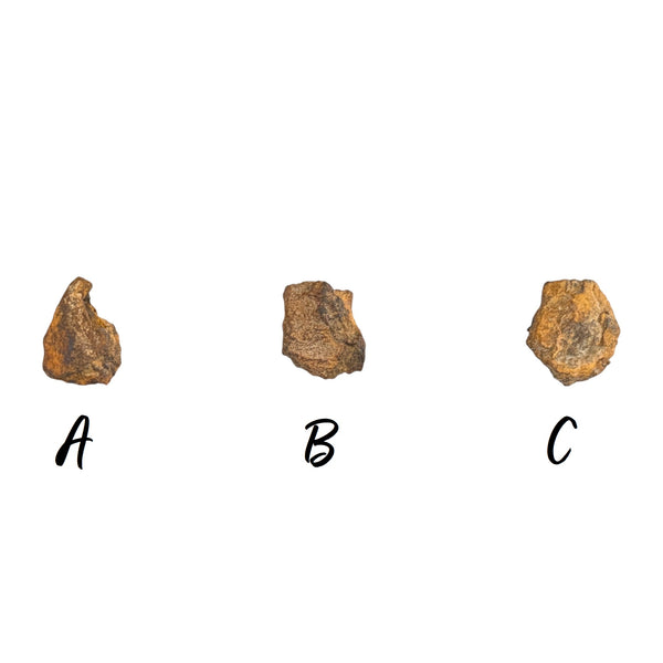 Genuine Nantan Meteorite Specimen - Chinese Meteorite - Space Rocks - Collectors Specimens - Meteorite Fragments