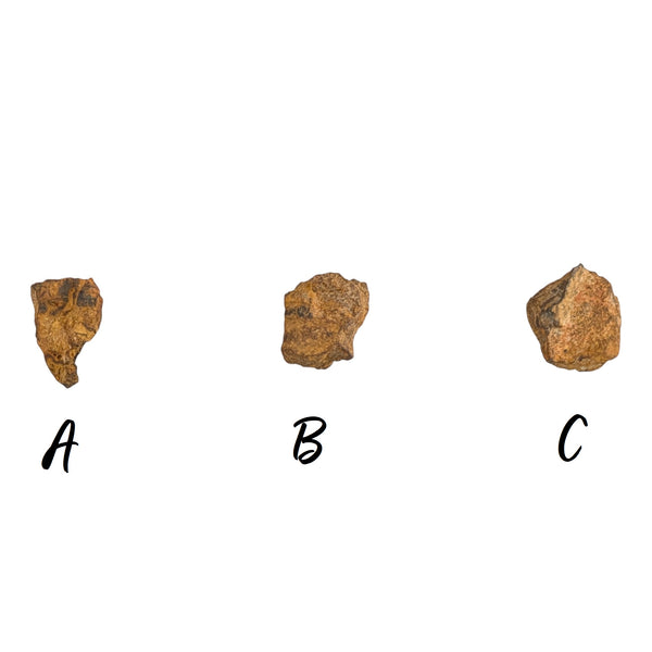 Genuine Nantan Meteorite Specimen - Chinese Meteorite - Space Rocks - Collectors Specimens - Meteorite Fragments