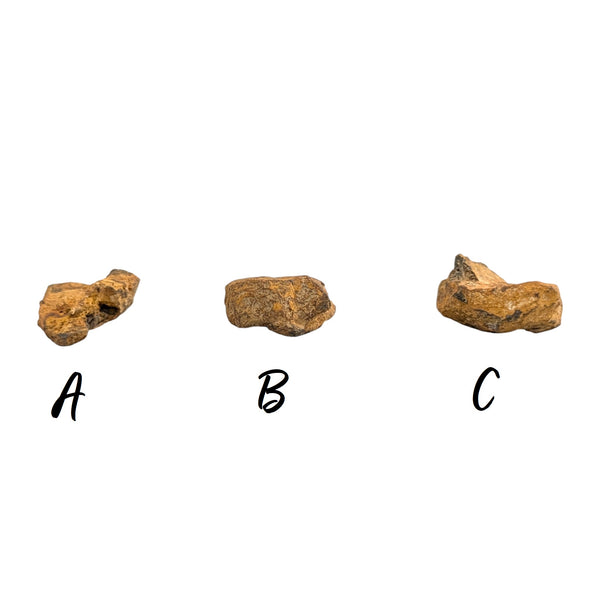 Genuine Nantan Meteorite Specimen - Chinese Meteorite - Space Rocks - Collectors Specimens - Meteorite Fragments