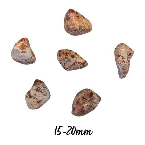 Brecciated Jasper (Light) Crystal Tumblestone - Grounding Gemstone - Sacral Chakra - Ethically Sourced Crystal - UK Crystal Shop