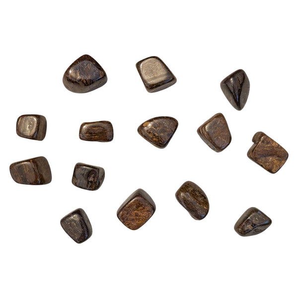 Bronzite Crystal Tumblestone - Leo Zodiac - Sacral Chakra - Confidence Gemstone - Ethically Sourced Crystals - UK Crystal Shop