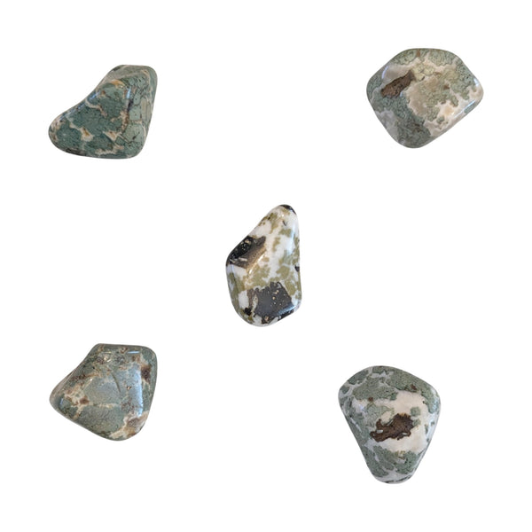 Camouflage Jasper Tumblestone - Spiritual Stone - Root Chakra - Aries & Cancer