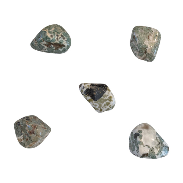Camouflage Jasper Tumblestone - Spiritual Stone - Root Chakra - Aries & Cancer