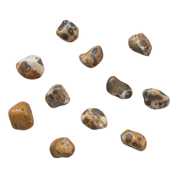 Cheetah Jasper Tumblestone