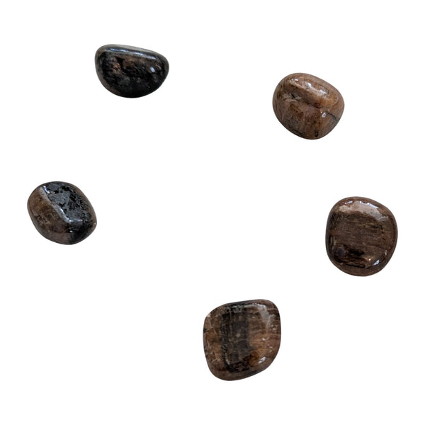 Chiastolite Tumblestone