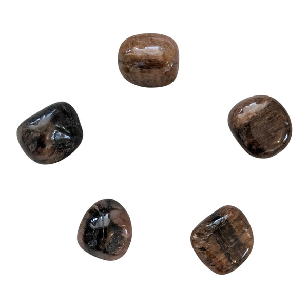 Chiastolite Tumblestone