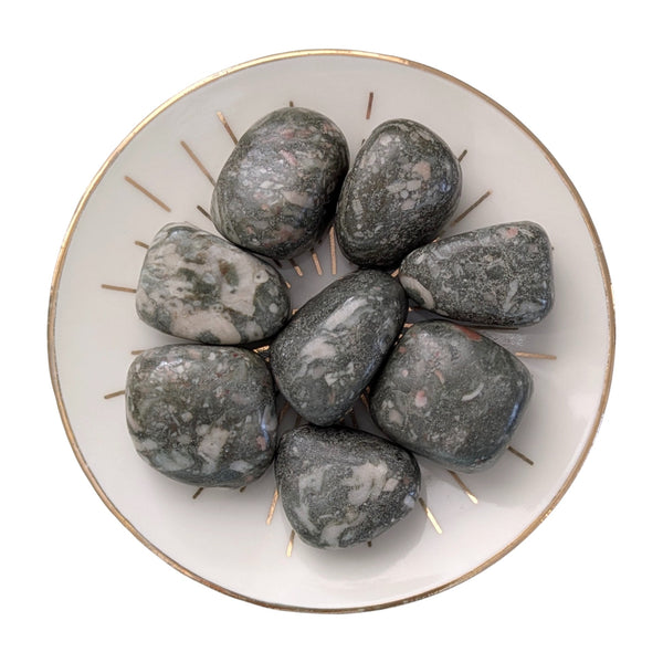 Crinoid Fossil Tumblestone - Fossilized Rocks - Chakra Stones - Rocks & Minerals