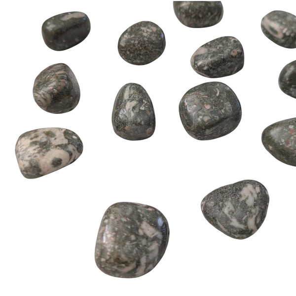 Crinoid Fossil Tumblestone - Fossilized Rocks - Chakra Stones - Rocks & Minerals