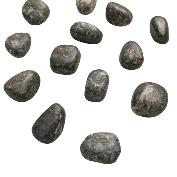 Crinoid Fossil Tumblestone - Fossilized Rocks - Chakra Stones - Rocks & Minerals