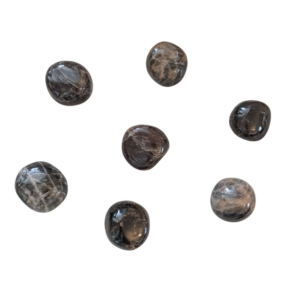Black Moonstone Tumblestone - Calm, Peace & Balance - Feminine Energy - New Moon Stone