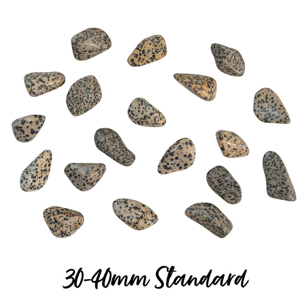 Dalmatian Jasper Tumblestone - Playfulness & Joy - Gemstone for Aries - Root Chakra -