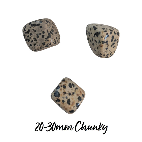 Dalmatian Jasper Tumblestone - Playfulness & Joy - Gemstone for Aries - Root Chakra -