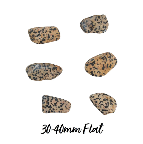 Dalmatian Jasper Tumblestone - Playfulness & Joy - Gemstone for Aries - Root Chakra -