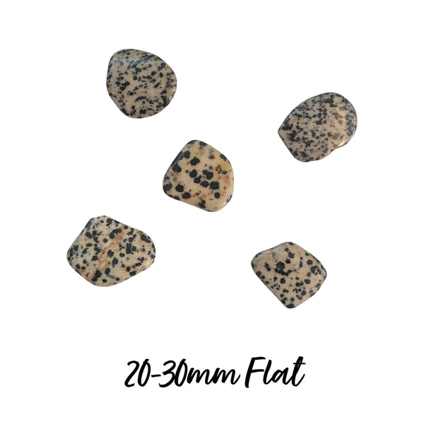 Dalmatian Jasper Tumblestone - Playfulness & Joy - Gemstone for Aries - Root Chakra -
