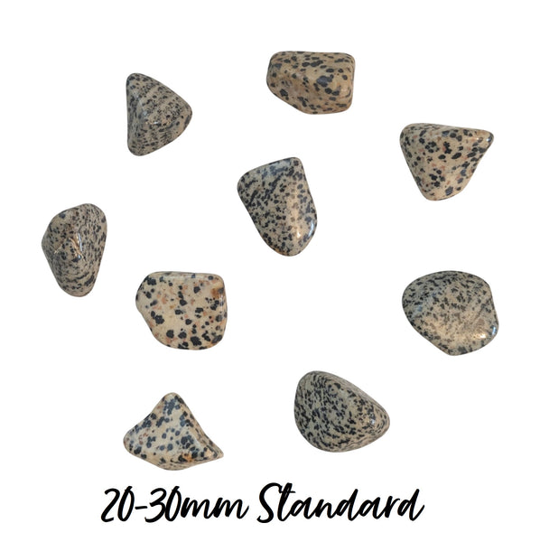 Dalmatian Jasper Tumblestone - Playfulness & Joy - Gemstone for Aries - Root Chakra -