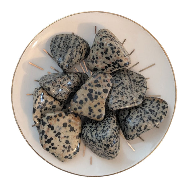Dalmatian Jasper Tumblestone - Playfulness & Joy - Gemstone for Aries - Root Chakra -