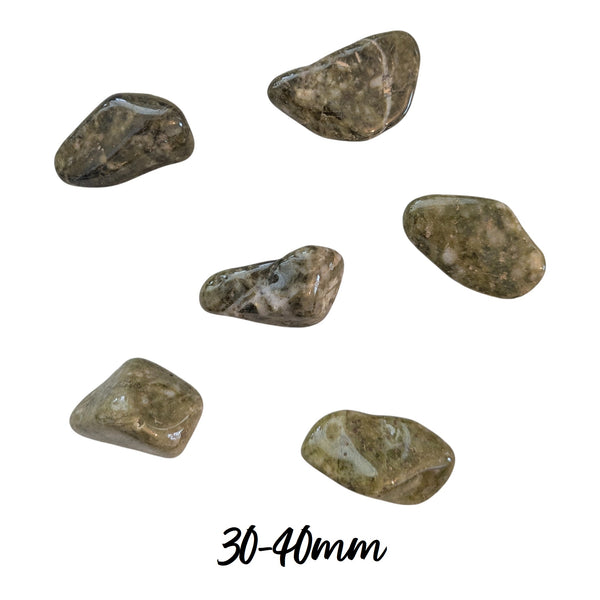 Epidote Snowflake Tumblestone