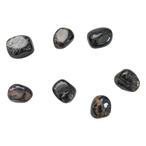 Fire Wood Agate Tumblestone