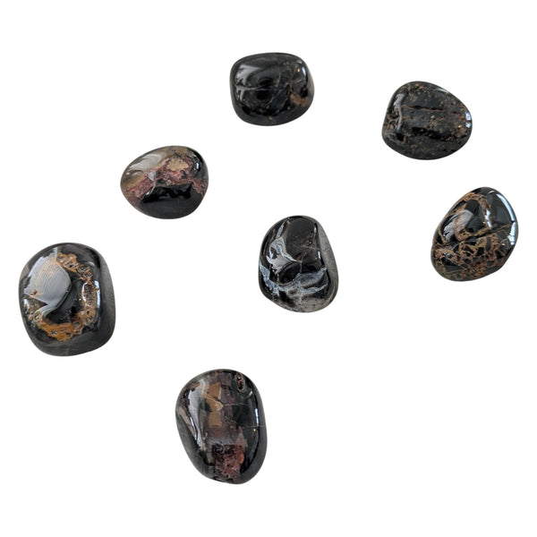 Fire Wood Agate Tumblestone