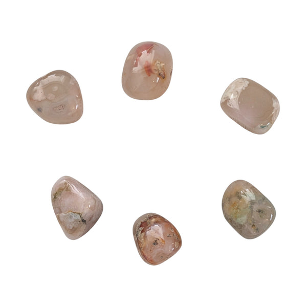 Flower Agate Tumblestone - Rare Stone - Divine Feminine Energy Stone - New Beginnings, Growth & Transformation
