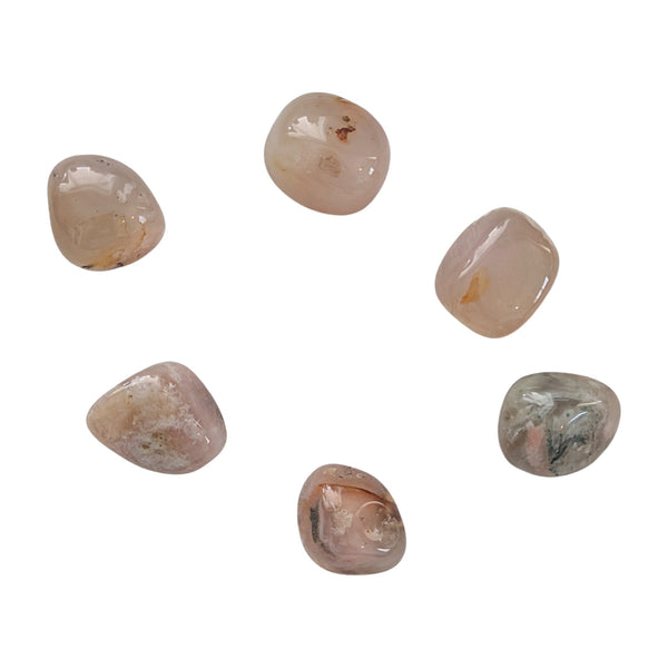 Flower Agate Tumblestone - Rare Stone - Divine Feminine Energy Stone - New Beginnings, Growth & Transformation