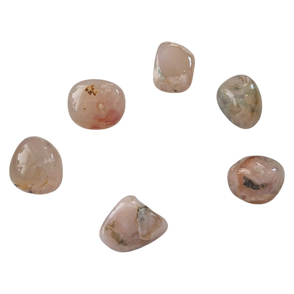 Flower Agate Tumblestone - Rare Stone - Divine Feminine Energy Stone - New Beginnings, Growth & Transformation