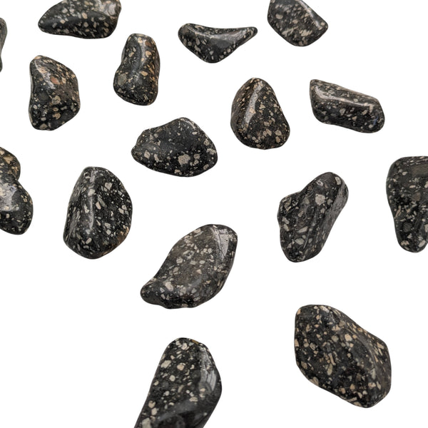 Guinea Fowl Jasper Tumblestone