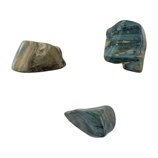 Green Petrified Wood Crystal Tumblestone UK - Green Fossilized Wood  - Rare Gemstones - Collectors Stones