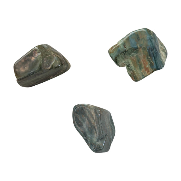Green Petrified Wood Crystal Tumblestone UK - Green Fossilized Wood  - Rare Gemstones - Collectors Stones