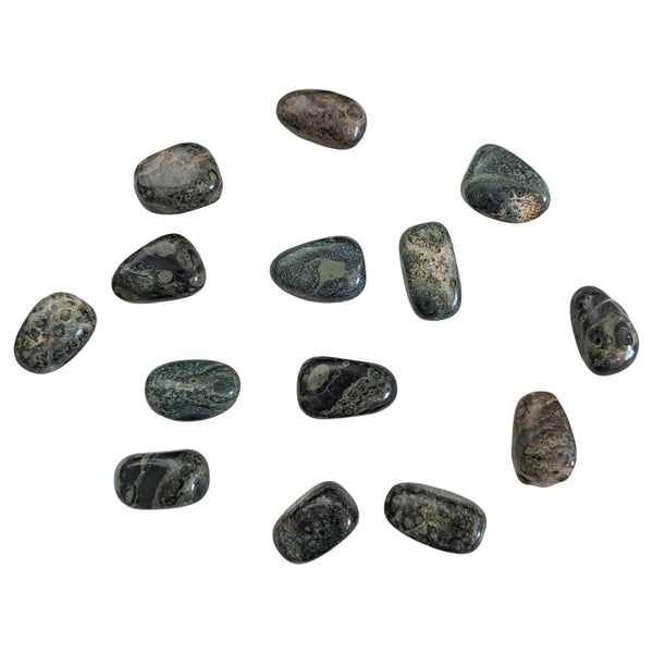 Kambaba Jasper Tumblestone - Crocodile Jasper - Green Stromatolite - Peace & Tranquility - Heart Chakra - Scorpio Stone