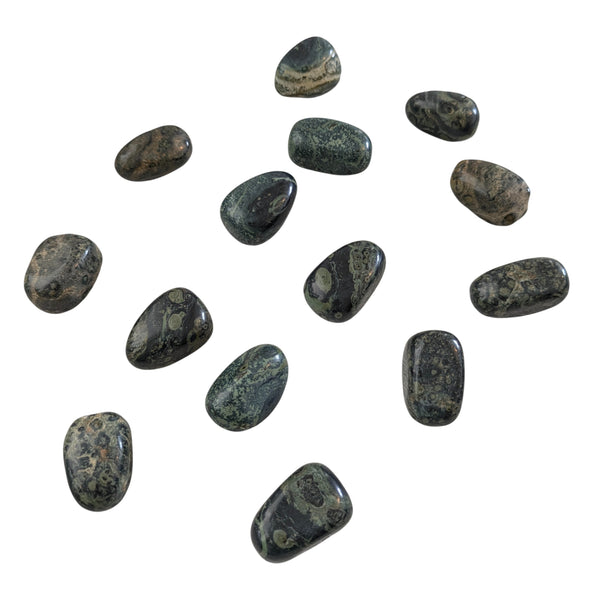 Kambaba Jasper Tumblestone - Crocodile Jasper - Green Stromatolite - Peace & Tranquility - Heart Chakra - Scorpio Stone