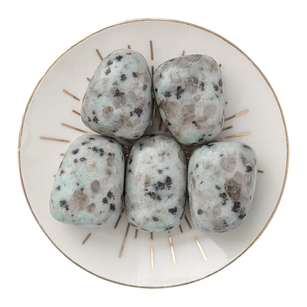 Kiwi Jasper Tumblestone - Kiwi Quartz - Sesame Jasper - Heart Chakra Stone